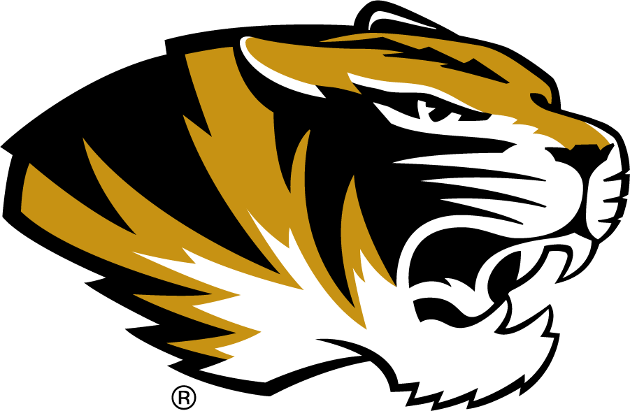 Missouri Tigers 2016-2018 Secondary Logo iron on transfers for T-shirts